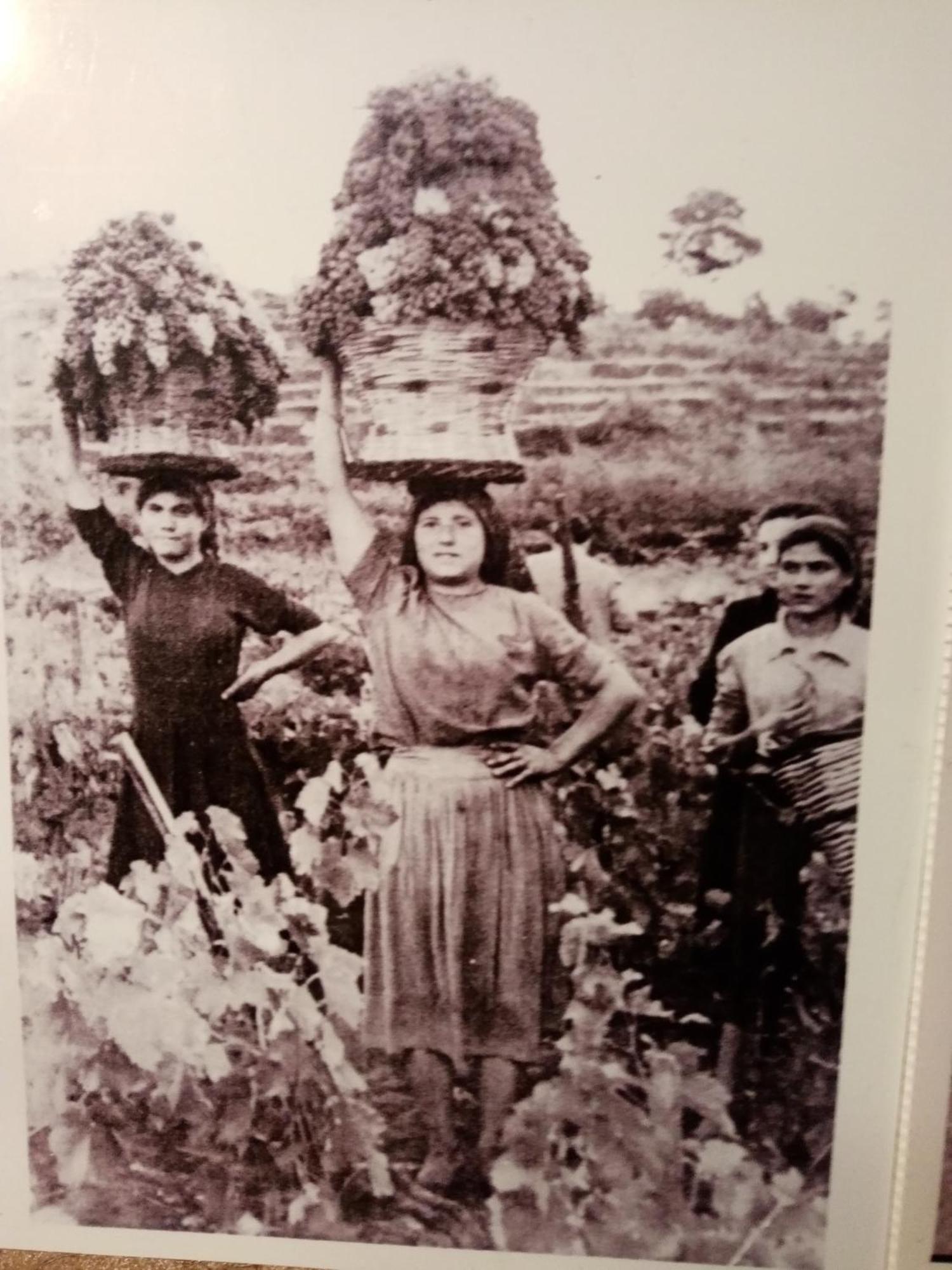 La Finestra Sull'Etna Villa Linguaglossa Buitenkant foto